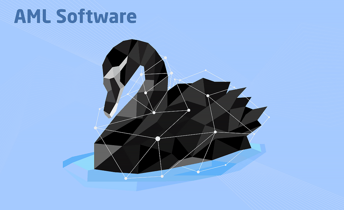 Chudovo OÜ Project - Ontwikkeling en onderhoud van AML-software