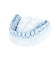 SCD Company Project - Software voor medische 3D-beeldverwerking