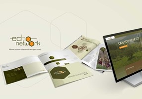 Tea & Oranges Design Project -