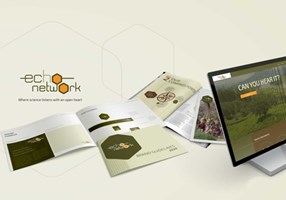 Tea & Oranges Design Project -
