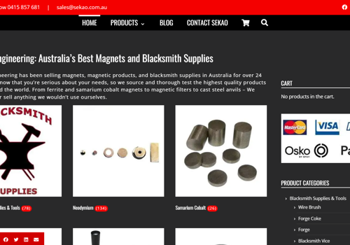 Goldfish SEO Project - E-commercewebsite voor Magnetics