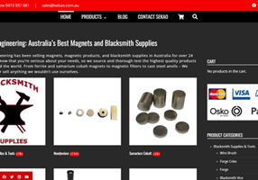 Goldfish SEO Project - E-commercewebsite voor Magnetics