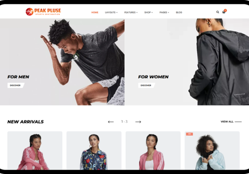 BrainSpate Project - PeakPulse Sports: Schaalvergroting van e-commerce met veel verkeer