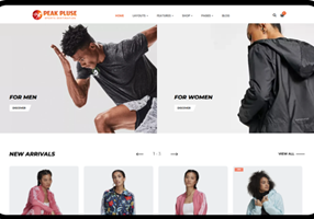 BrainSpate Project - PeakPulse Sports: Schaalvergroting van e-commerce met veel verkeer