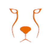 Acinonyx Web Agency Logo