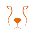 Acinonyx Web Agency Logo