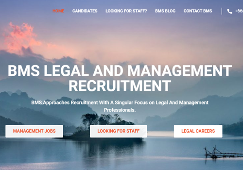 Goldfish SEO Project - BMS Recruitment, webdesign, ontwikkeling en SEO