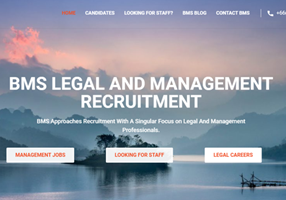 Goldfish SEO Project - BMS Recruitment, webdesign, ontwikkeling en SEO