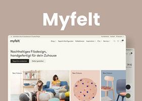 Dinarys GmbH Project - Myfelt