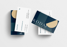 Concentric Design Project -