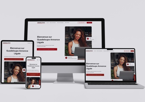 IDNET Project - Ontwikkeling van drie websites voor het plaatsen van juridische advertenties
