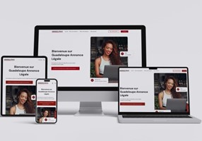 IDNET Project - Ontwikkeling van drie websites voor het plaatsen van juridische advertenties