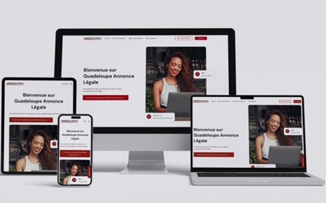 IDNET Project - Ontwikkeling van drie websites voor het plaatsen van juridische advertenties