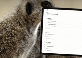 Mecexis Project - Merkandoo: projecten, tijdsplanning en teamwerkzaamheden