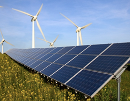 Solway Project - EcoSubsidy-app: ondersteuning van groene initiatieven
