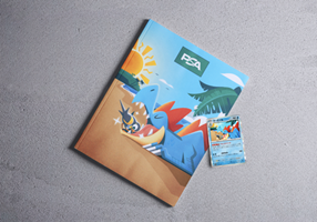 BRIDGE Project - Omslag van PSA-magazine