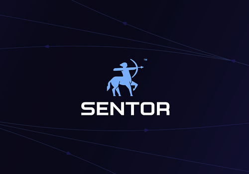 NIKX Technologies B.V. Project - Sentor - Entity-based sentimentanalyse