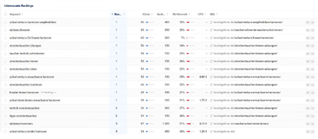 Netzbekannt GmbH Project - SEO voor leonidgelman.de