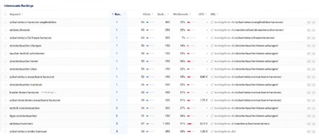 Netzbekannt GmbH Project - SEO voor leonidgelman.de