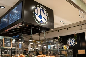 Gandayo - Marketing Project - Marketingbegeleiding