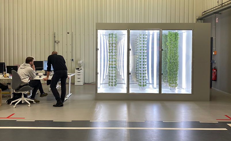 SmartTek Solutions Project - Lite&Fog