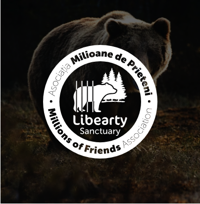ONLINE HUB Project - Rebranding & websiteontwikkeling