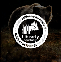 ONLINE HUB Project - Rebranding & websiteontwikkeling
