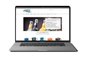 Linxnpix Project - Magento-upgrade en ondersteuning