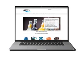 Linxnpix Project - Magento-upgrade en ondersteuning