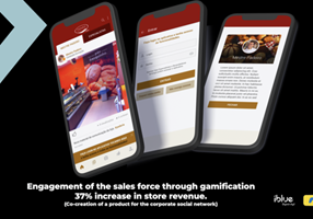 iBlue Consulting Project - Corporate Instagram + verkoop
