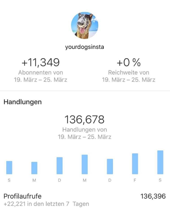SKYLL GmbH Project - Instagram-account