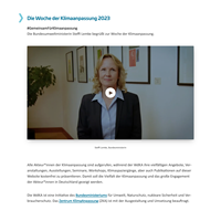 Tojio // Digital Agentur Project - Week van klimaatadaptatie