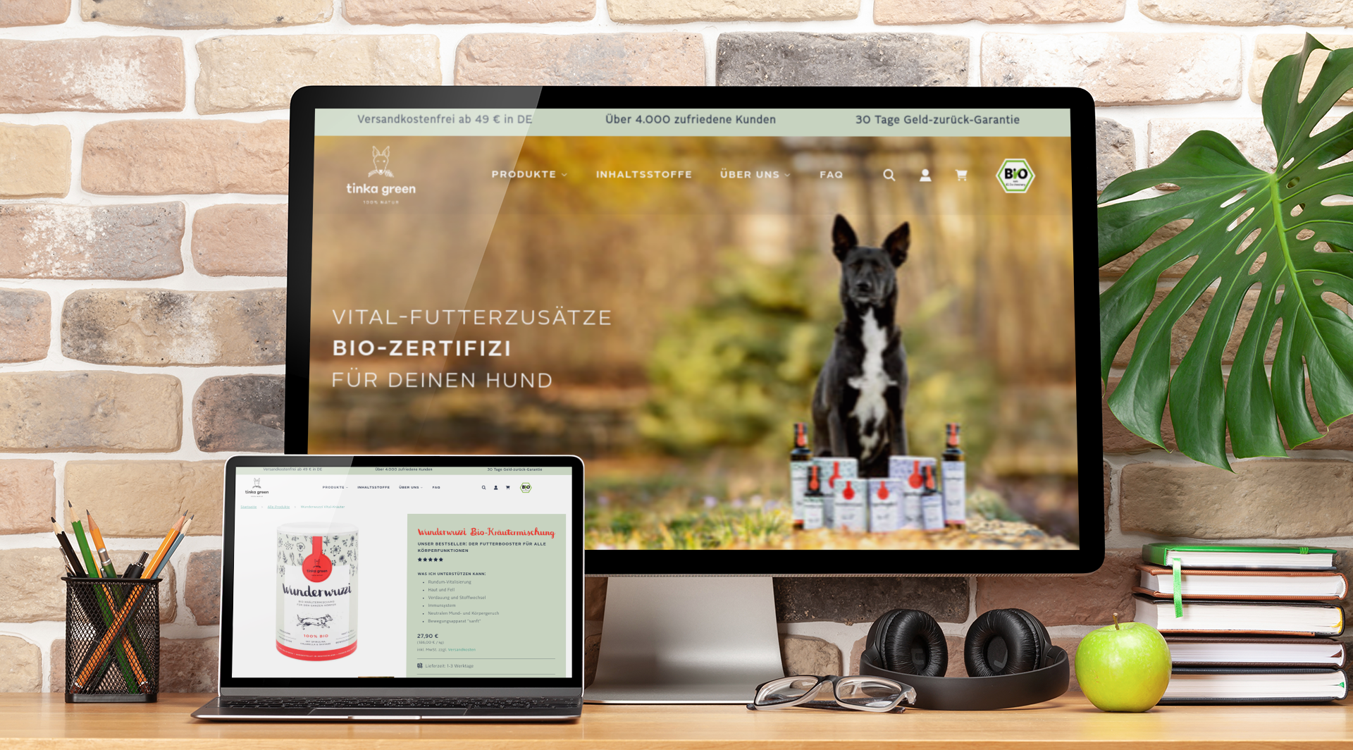PulseConnect UG Project - Website-herlancering Migratie naar Shopify