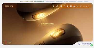 Artx Pro Digital Marketing Agency Project - RONIN