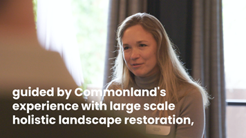 Dutch Picture Industry Project - Bioregionale webstudio