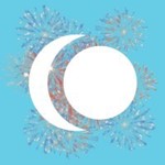 Twelvebirds Agency Logo