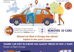 Premium Infographics Project - Carsharing