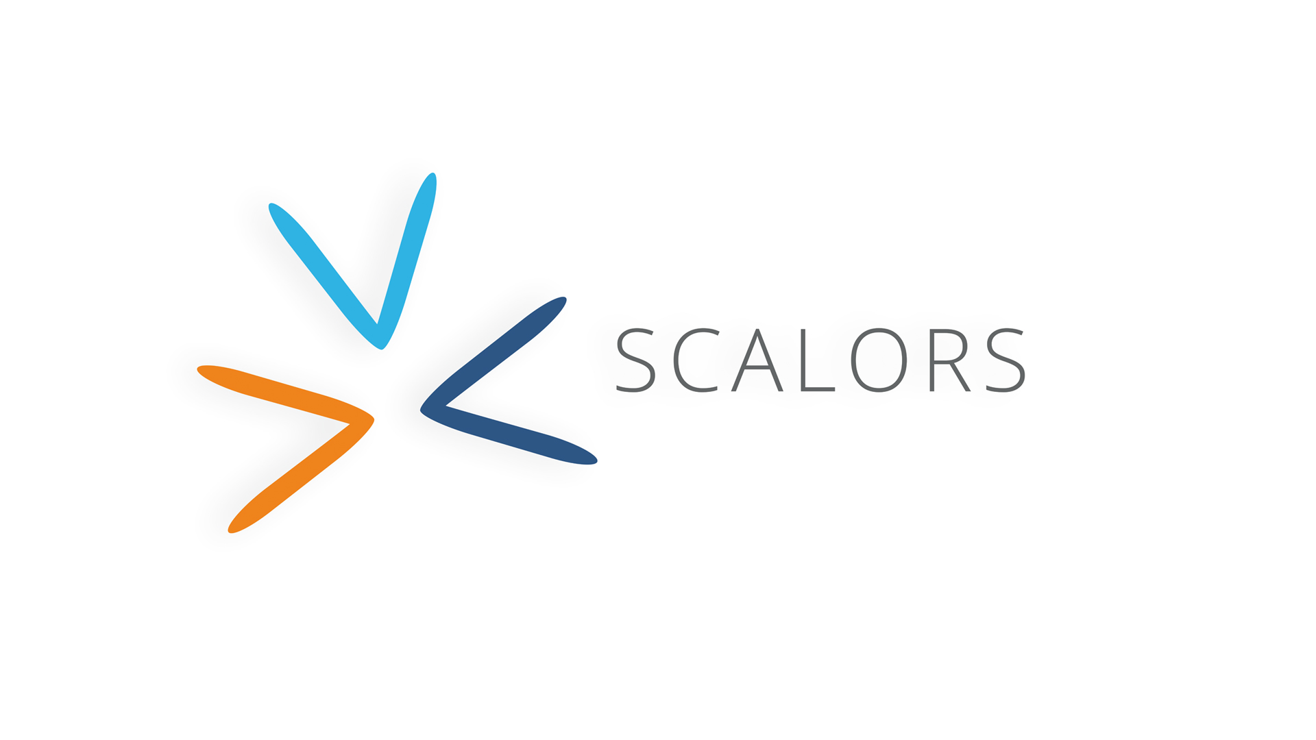 Scalors GmbH Project - Streamingplatform