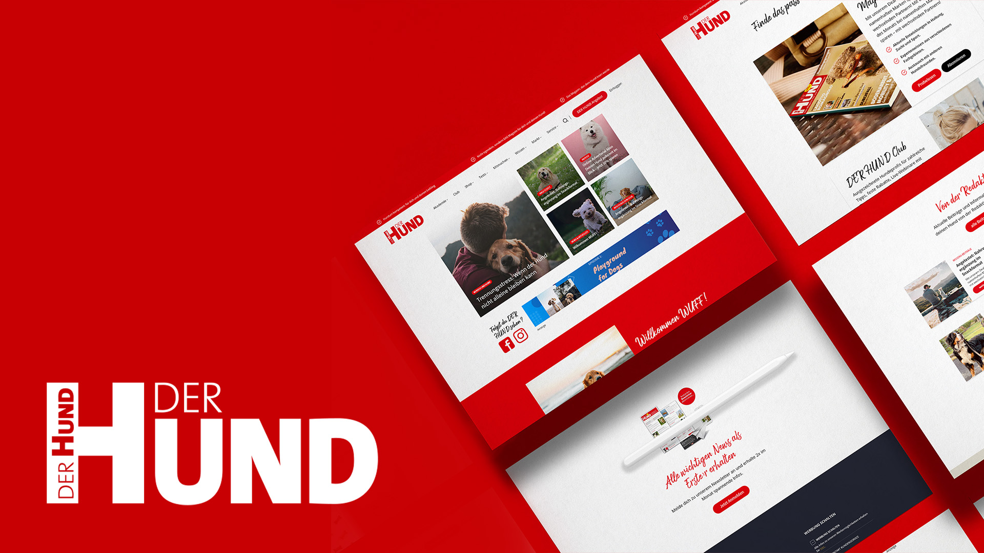 Golden Web Age GmbH Project - Re-design DerHund.de