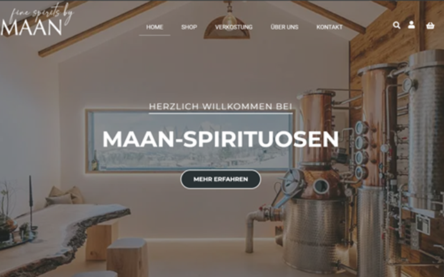 MS WEBDESIGN Project -