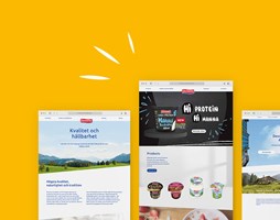 Melters Werbeagentur GmbH Project - Websiteherlancering