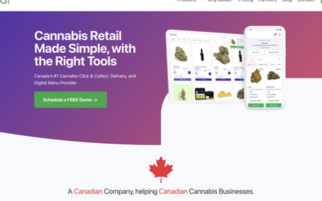 IT Brains Project - Buddi, alles-in-één cannabisretailplatform
