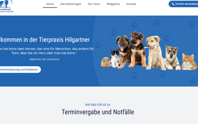 MS WEBDESIGN Project -
