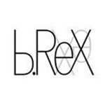 b.ReX GmbH Logo