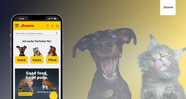 7thSENSE GmbH Project - E-commerce-begeleiding