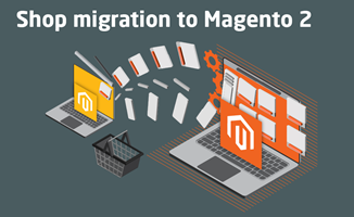 Chudovo OÜ Project - Magento 2 migratieproject