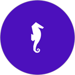 Recogn.ai Logo
