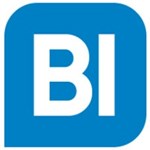 Best In BI Solutions, SL Logo