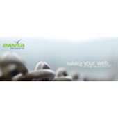 avevita internet service Logo