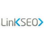 Link SEO - Agentur für Online-Marketing und Suchmaschinenoptimierung Logo